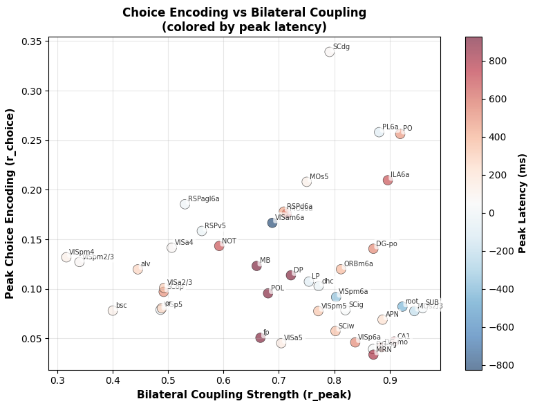 Choice encoding strength (peak r_choice) plotted against bilateral coupling strength (r_peak) for each brain region, colored by peak choice-encoding latency relative to movement onset (blue = pre-movement, red = post-movement). The lack of correlation between the two axes (Spearman ρ = −0.21, p = 0.17) demonstrates the spatial dissociation: regions with the highest bilateral coupling are not the strongest choice encoders, and vice versa. Latency coloring further reveals temporal heterogeneity — pre-movement encoders (PL6a, SCdg) cluster separately from post-movement encoders (PO, ILA6a, RSPd6a).