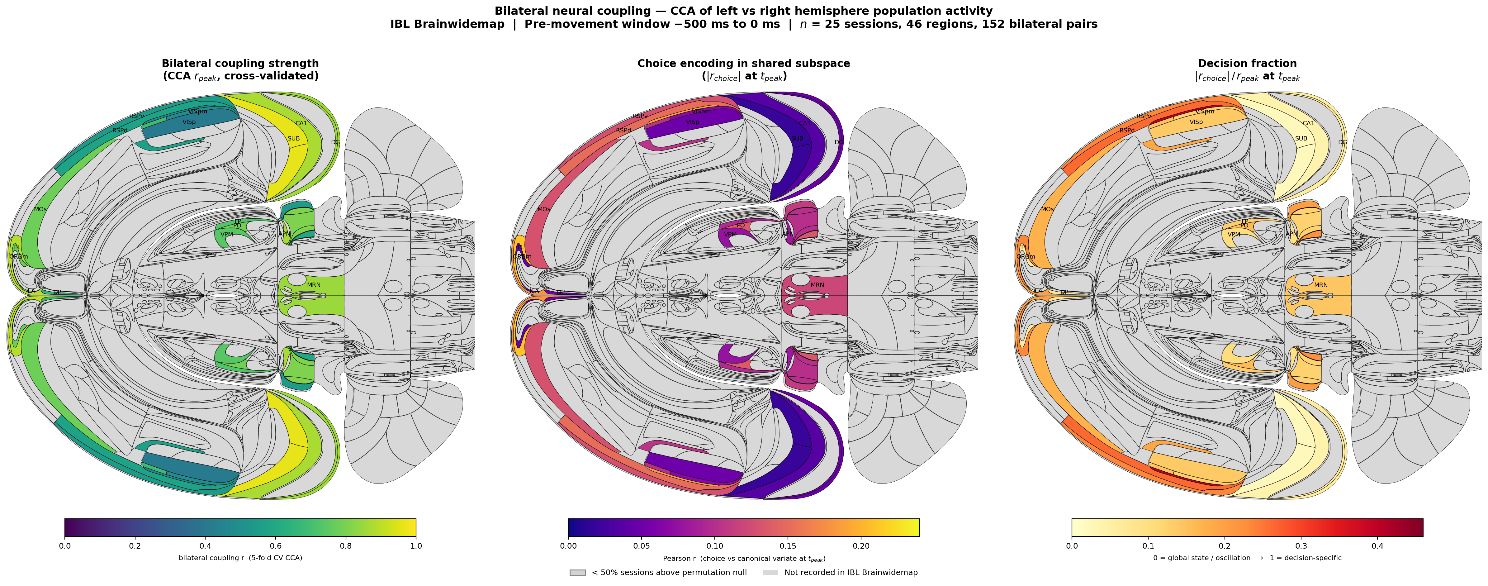 Three-panel Swanson flatmap projection of CCA bilateral coupling metrics across 27 brain regions (39 fine-grained Allen acronyms aggregated to Swanson-level parents).
Left: bilateral coupling strength (cross-validated CCA r_peak) — strongest in hippocampal formation and midbrain.
Middle: choice encoding in the bilateral subspace (|r_choice| at t_peak) — concentrated in prefrontal cortex (PL, ILA), posterior thalamus (PO), and deep superior colliculus.
Right: decision fraction (|r_choice| / r_peak; thresholded at r_peak ≥ 0.5) — quantifies what proportion of bilateral coupling is decision-specific, revealing the spatial dissociation between coupling strength and choice content.