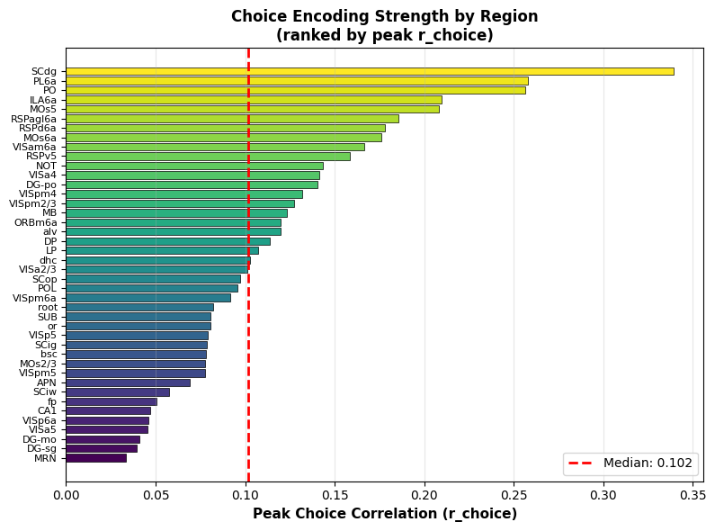 Choice encoding strength (peak r_choice) ranked across all 39 brain regions. Bars show the maximum bilateral choice correlation for each region, with the dashed red line marking the population median (0.102). Colors reflect rank order.