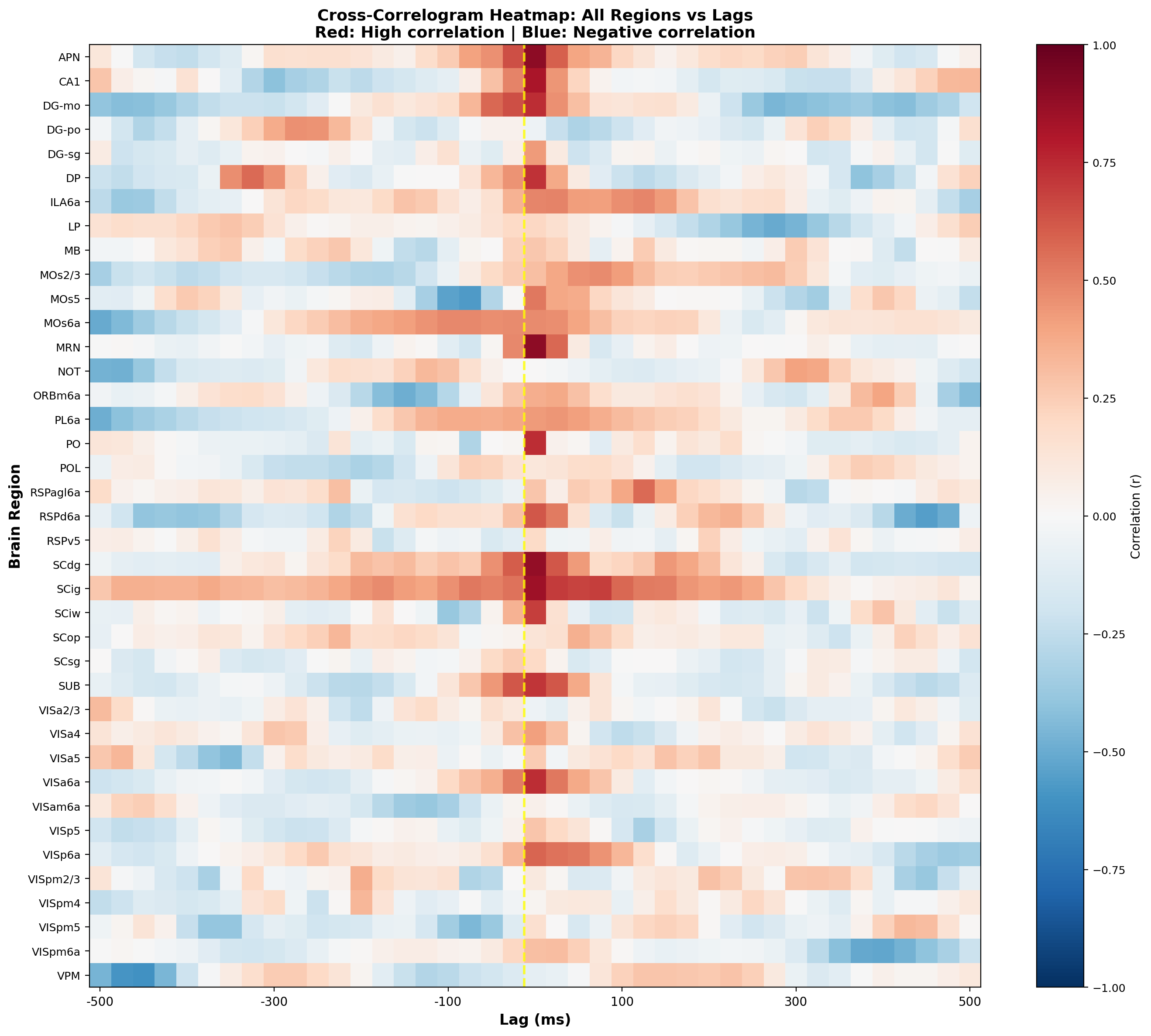 Cross-correlogram heatmap of bilateral canonical variates across all regions. For each region, trial-averaged U(t) (left hemisphere) and V(t) (right hemisphere) from CCA. The yellow dashed line marks zero lag; negative lags indicate left-hemisphere lead, positive lags indicate right-hemisphere lead. Red and blue indicate positive and negative correlations, respectively, revealing distinct temporal coupling structures across the brain — sharp zero-lag peaks with oscillatory flanking in hippocampal and midbrain regions, broad sustained coupling in collicular and prefrontal regions, and asymmetric lag profiles in select association areas.