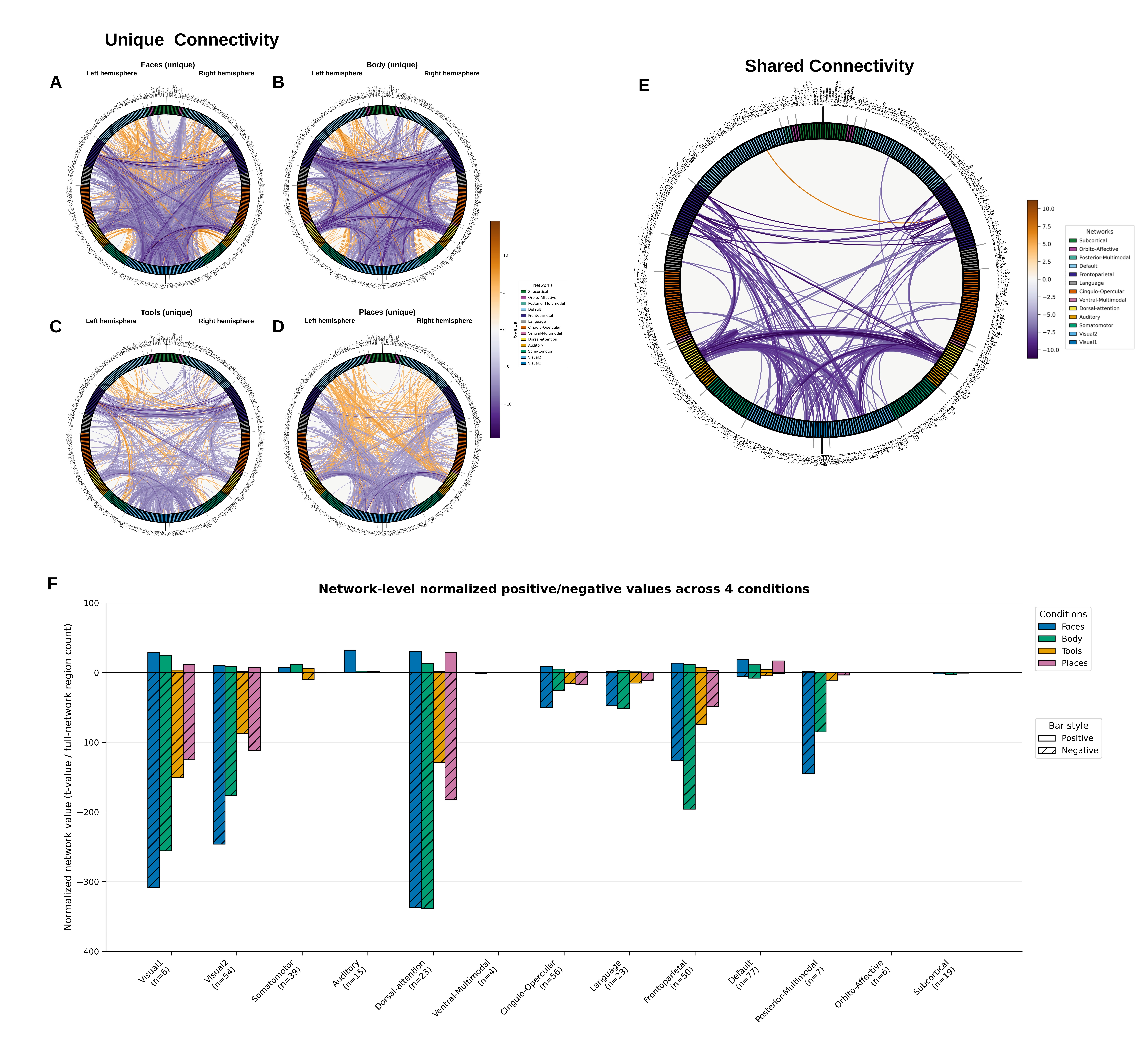 Domain-general and stimulus-specific functional connectivity networks ...